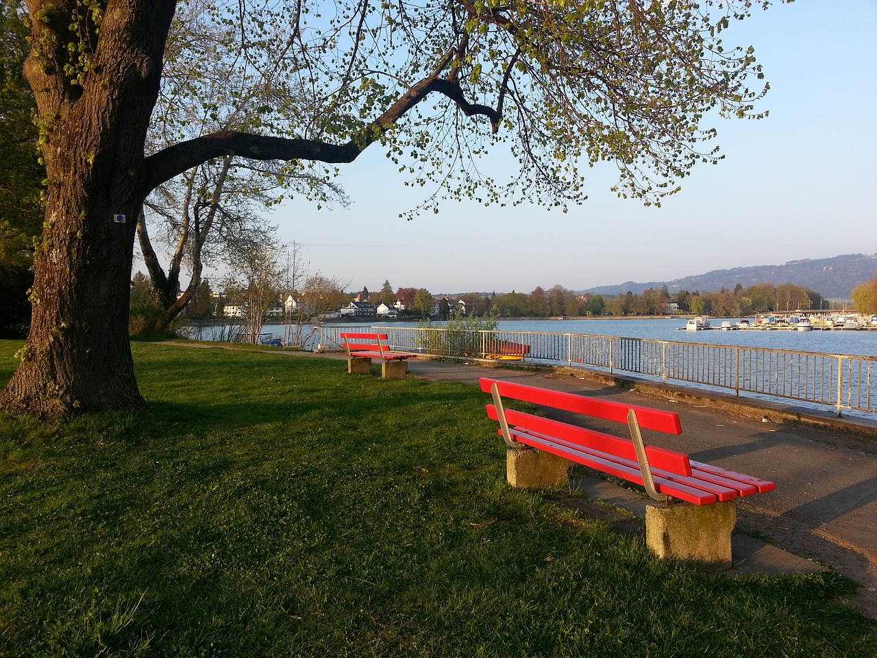 五大联赛历史U19进球榜：欧文、劳尔、姆巴佩、亚马尔上榜