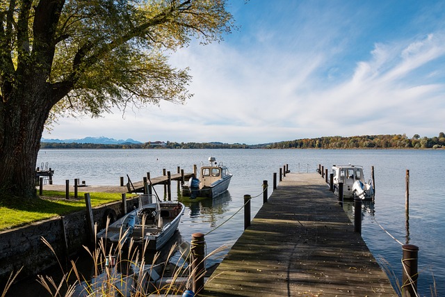 不是队服是奥运照！樊振东12月赛程海报引爆“情怀杀”